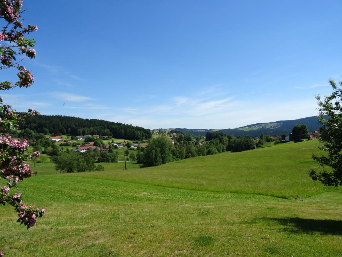 Fewo Gabi Neuschönau Exterior foto